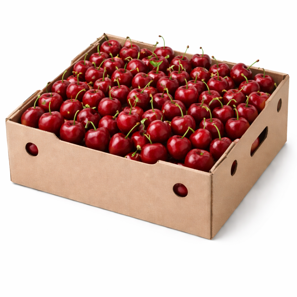 Fresh Cherries - Premium Quality Sweet Cherries