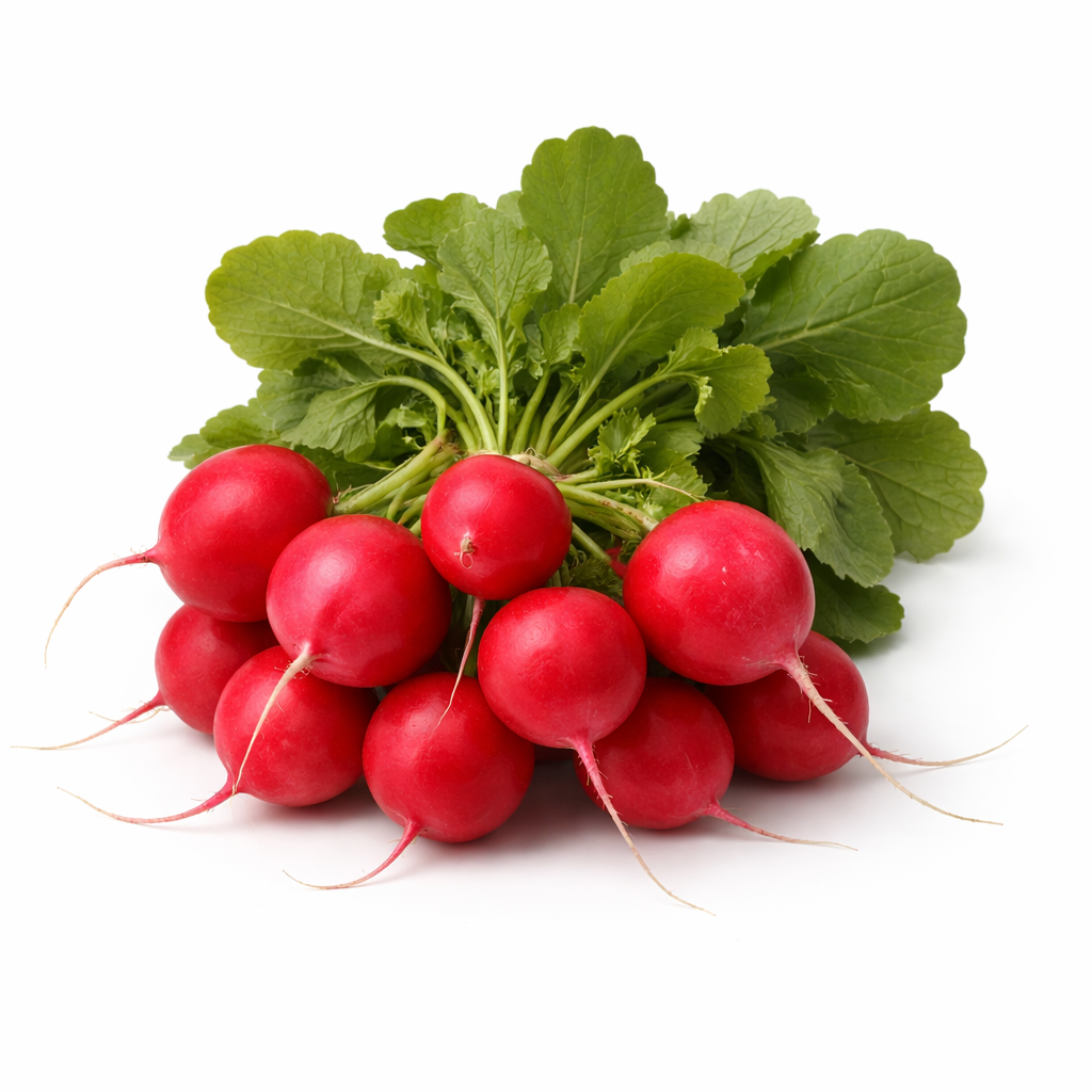 Fresh Radish Bunch – Crisp Red Radishes, Farm Fresh Produce