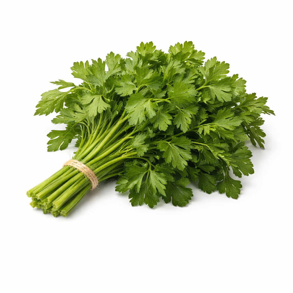 Fresh Parsley Bunch – Organic Culinary Herb